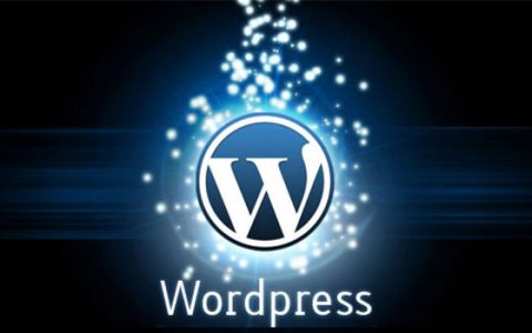 wordpress内容页如何去掉特色图像