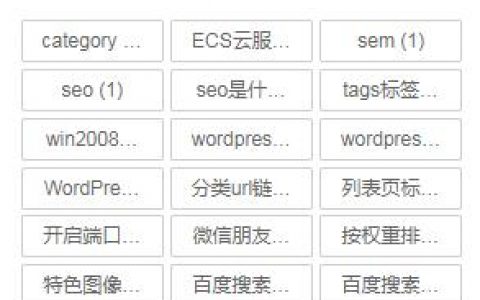 WordPress tag中文标签链接