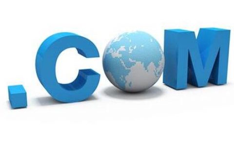 域名注册人信息