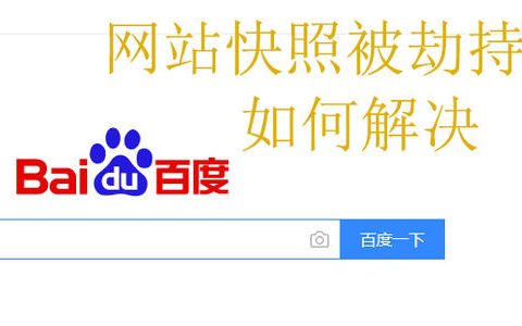 百度快照劫持