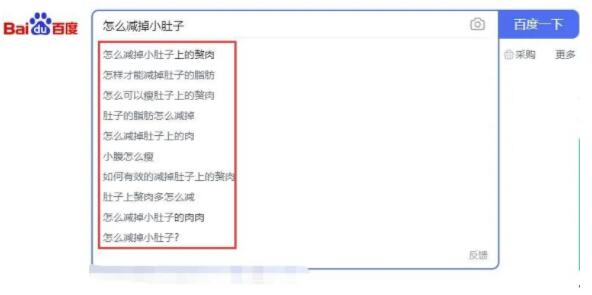 搜索“怎么减掉小肚子”长尾关键词