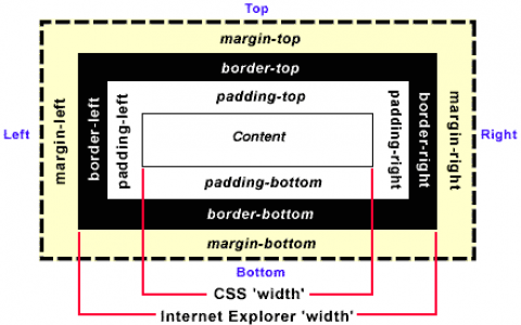 margin和padding属性