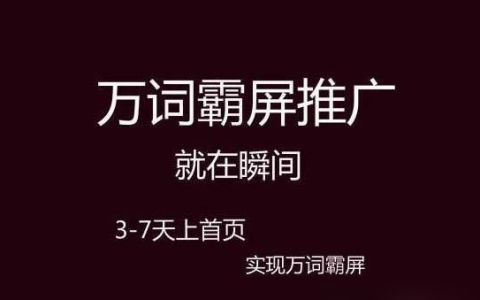 “万词霸屏”关键词推广系统