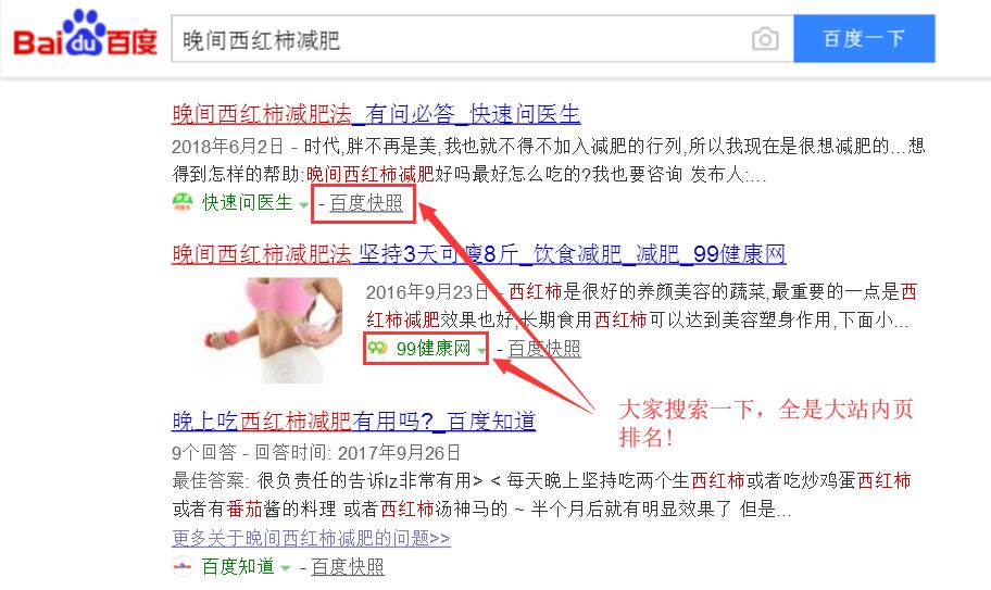 大站内页排名截图