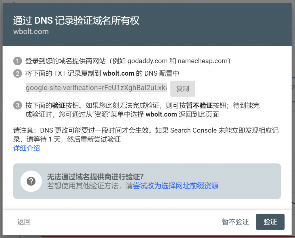 通过 DNS 记录验证域名所有权