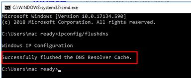 提示DNS Flush的成功信息