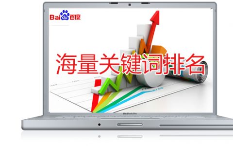 海量关键词排名