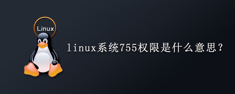 linux系统中755权限和777权限是什么意思