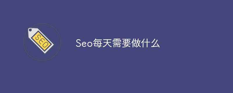 seo是做什么的,每天需要做什么?