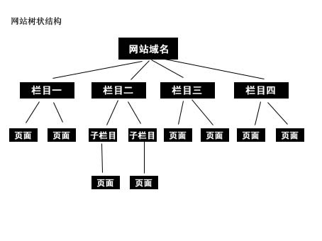 网站目录结构