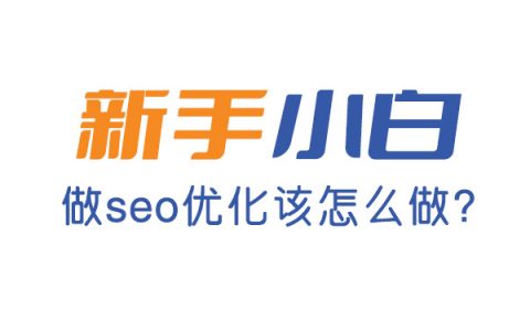 新手做seo怎么做?从哪些方面开始做?