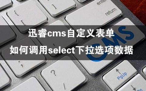 迅睿cms自定义表单,如何调用select下拉选项数据