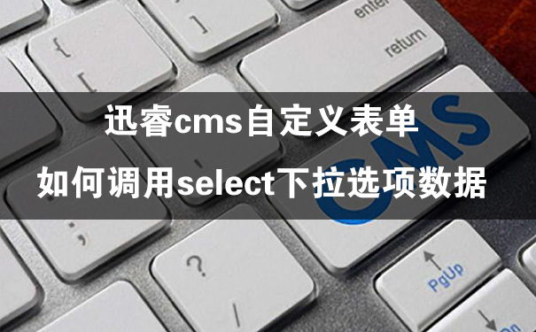 迅睿cms自定义表单,如何调用select下拉选项数据