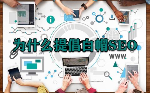为什么我要提倡做白帽SEO优化