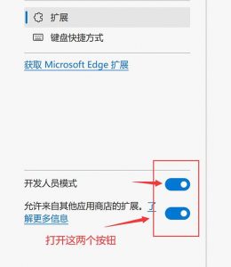 打开Edge浏览器开发模式