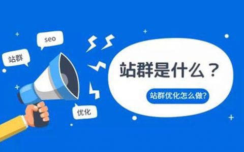 站群网站SEO优化方法及盈利模式(1)