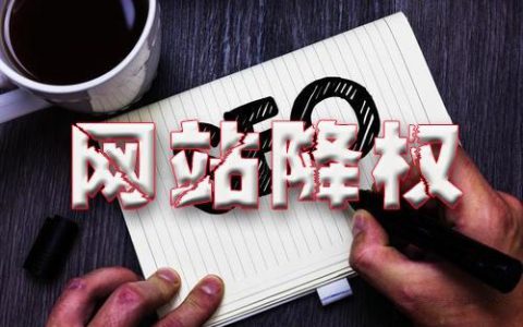 怎么确定网站是否真的被降权了