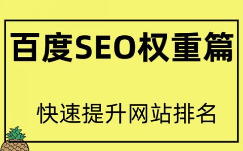 新手seo如何优化网站推广,如何获得排名？