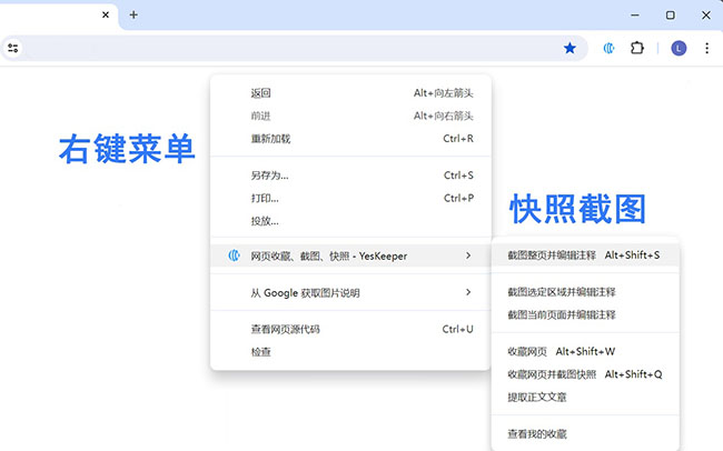 借助浏览器插件或小工具调用网页快照